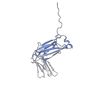0782_6kxs_G_v1-0
Cryo-EM structure of human IgM-Fc in complex with the J chain and the ectodomain of pIgR