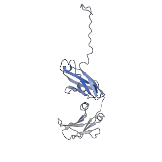 0782_6kxs_H_v2-1
Cryo-EM structure of human IgM-Fc in complex with the J chain and the ectodomain of pIgR