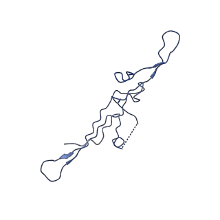 0782_6kxs_J_v1-0
Cryo-EM structure of human IgM-Fc in complex with the J chain and the ectodomain of pIgR