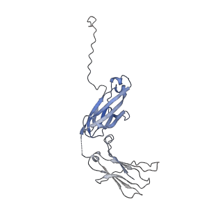 0782_6kxs_K_v1-0
Cryo-EM structure of human IgM-Fc in complex with the J chain and the ectodomain of pIgR