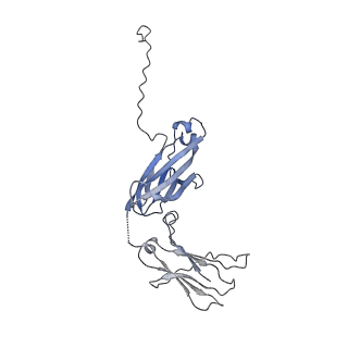 0782_6kxs_K_v2-1
Cryo-EM structure of human IgM-Fc in complex with the J chain and the ectodomain of pIgR