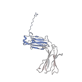 0782_6kxs_L_v1-0
Cryo-EM structure of human IgM-Fc in complex with the J chain and the ectodomain of pIgR