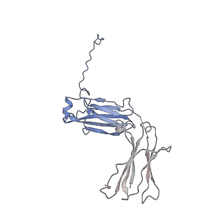 0782_6kxs_L_v2-1
Cryo-EM structure of human IgM-Fc in complex with the J chain and the ectodomain of pIgR