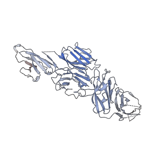 0782_6kxs_P_v1-0
Cryo-EM structure of human IgM-Fc in complex with the J chain and the ectodomain of pIgR