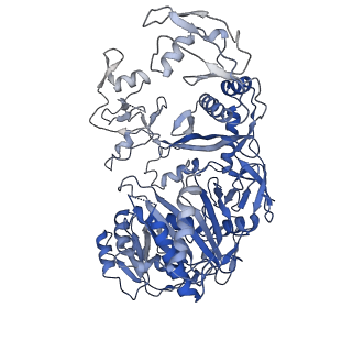 23061_7kx7_A_v1-3
Cryo-EM structure of Ephydatia fluviatilis PiwiA-piRNA complex