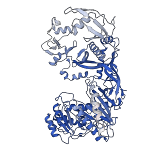 23063_7kx9_A_v1-3
Cryo-EM structure of Ephydatia fluviatilis PiwiA-piRNA-target complex