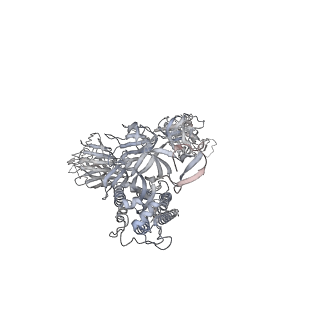 23065_7kxk_A_v1-2
SARS-CoV-2 spike protein in complex with Fab 15033-7, 2-"up"-1-"down" conformation