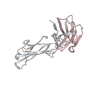 23065_7kxk_H_v1-2
SARS-CoV-2 spike protein in complex with Fab 15033-7, 2-"up"-1-"down" conformation