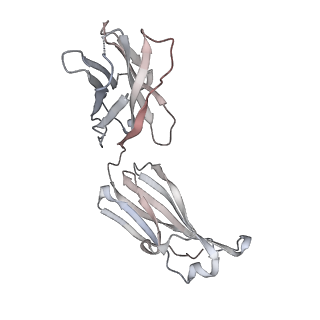 23065_7kxk_I_v1-2
SARS-CoV-2 spike protein in complex with Fab 15033-7, 2-"up"-1-"down" conformation