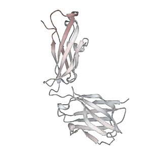 23065_7kxk_J_v1-2
SARS-CoV-2 spike protein in complex with Fab 15033-7, 2-"up"-1-"down" conformation