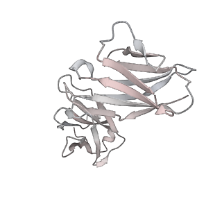 23065_7kxk_L_v1-2
SARS-CoV-2 spike protein in complex with Fab 15033-7, 2-"up"-1-"down" conformation