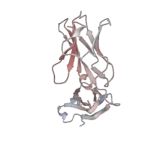 23065_7kxk_M_v1-2
SARS-CoV-2 spike protein in complex with Fab 15033-7, 2-"up"-1-"down" conformation