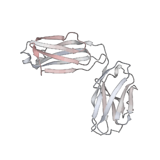 23065_7kxk_N_v1-2
SARS-CoV-2 spike protein in complex with Fab 15033-7, 2-"up"-1-"down" conformation