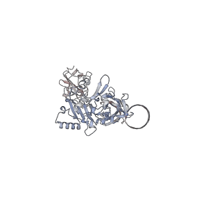 23066_7kxr_E_v1-0
Protective antigen pore translocating lethal factor N-terminal domain