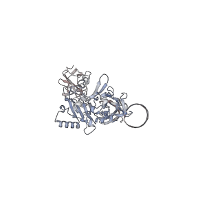 23066_7kxr_E_v1-1
Protective antigen pore translocating lethal factor N-terminal domain