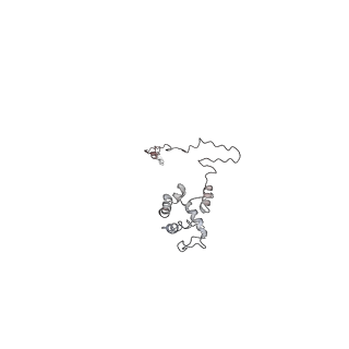 23066_7kxr_L_v1-1
Protective antigen pore translocating lethal factor N-terminal domain