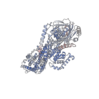 23068_7ky5_A_v1-0
Structure of the S. cerevisiae phosphatidylcholine flippase Dnf2-Lem3 complex in the E2P transition state