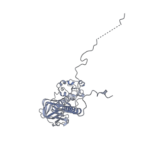23068_7ky5_B_v1-0
Structure of the S. cerevisiae phosphatidylcholine flippase Dnf2-Lem3 complex in the E2P transition state