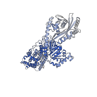 23069_7ky6_A_v1-0
Structure of the S. cerevisiae phosphatidylcholine flippase Dnf1-Lem3 complex in the apo E1 state