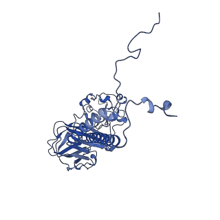 23069_7ky6_B_v1-0
Structure of the S. cerevisiae phosphatidylcholine flippase Dnf1-Lem3 complex in the apo E1 state