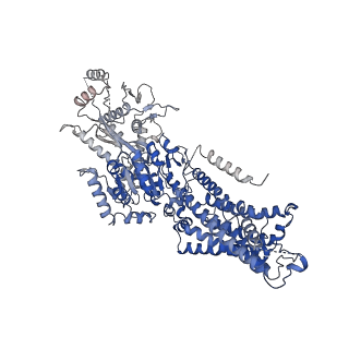 23070_7ky7_A_v1-0
Structure of the S. cerevisiae phosphatidylcholine flippase Dnf2-Lem3 complex in the apo E1 state