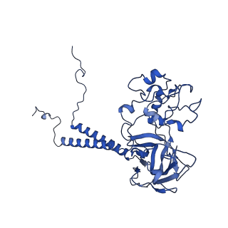 23070_7ky7_B_v1-0
Structure of the S. cerevisiae phosphatidylcholine flippase Dnf2-Lem3 complex in the apo E1 state
