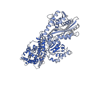 23071_7ky8_A_v1-0
Structure of the S. cerevisiae phosphatidylcholine flippase Dnf2-Lem3 complex in the E1-ATP state