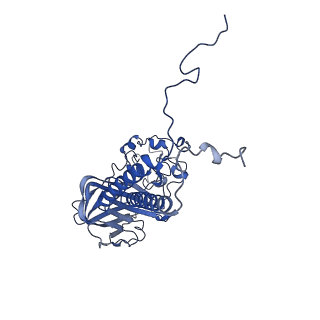23071_7ky8_B_v1-0
Structure of the S. cerevisiae phosphatidylcholine flippase Dnf2-Lem3 complex in the E1-ATP state