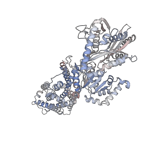 23072_7ky9_A_v1-0
Structure of the S. cerevisiae phosphatidylcholine flippase Dnf2-Lem3 complex in the E1-ADP state