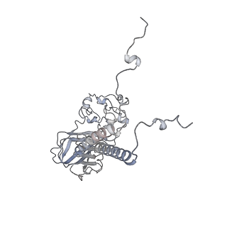 23072_7ky9_B_v1-0
Structure of the S. cerevisiae phosphatidylcholine flippase Dnf2-Lem3 complex in the E1-ADP state