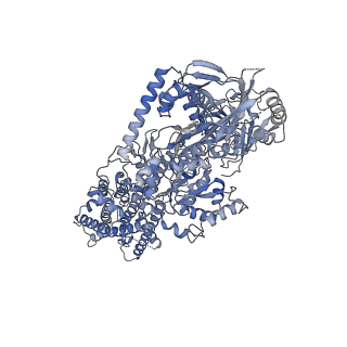 23073_7kya_A_v1-0
Structure of the S. cerevisiae phosphatidylcholine flippase Dnf2-Lem3 complex in the E2P state
