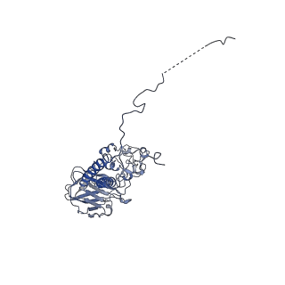 23073_7kya_B_v1-0
Structure of the S. cerevisiae phosphatidylcholine flippase Dnf2-Lem3 complex in the E2P state