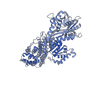 23074_7kyb_A_v1-0
Structure of the S. cerevisiae phosphatidylcholine flippase Dnf1-Lem3 complex in the E1-ADP state