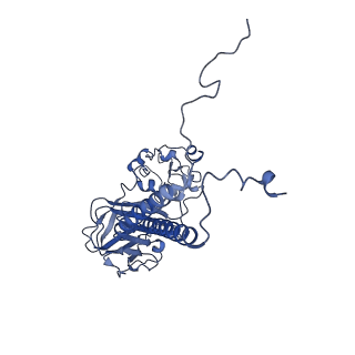 23074_7kyb_B_v1-0
Structure of the S. cerevisiae phosphatidylcholine flippase Dnf1-Lem3 complex in the E1-ADP state