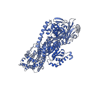 23075_7kyc_A_v1-0
Structure of the S. cerevisiae phosphatidylcholine flippase Dnf1-Lem3 complex in the E2P state