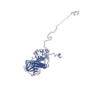 23075_7kyc_B_v1-0
Structure of the S. cerevisiae phosphatidylcholine flippase Dnf1-Lem3 complex in the E2P state