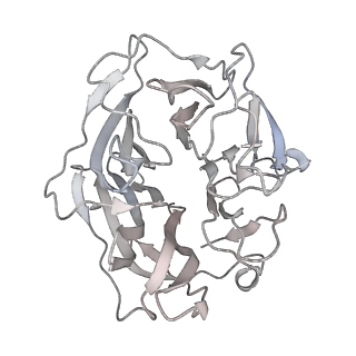 23083_7kzn_A_v1-2
Outer dynein arm core subcomplex from C. reinhardtii