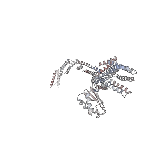 23083_7kzn_B_v1-1
Outer dynein arm core subcomplex from C. reinhardtii