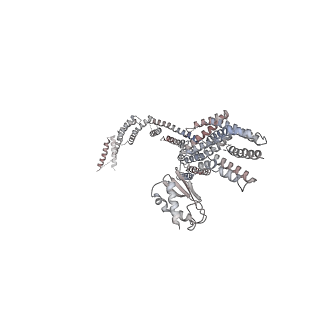 23083_7kzn_B_v1-2
Outer dynein arm core subcomplex from C. reinhardtii