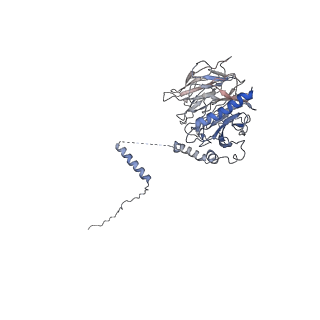 23083_7kzn_D_v1-1
Outer dynein arm core subcomplex from C. reinhardtii