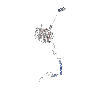 23083_7kzn_E_v1-2
Outer dynein arm core subcomplex from C. reinhardtii