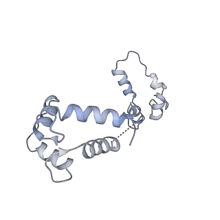 23083_7kzn_G_v1-2
Outer dynein arm core subcomplex from C. reinhardtii