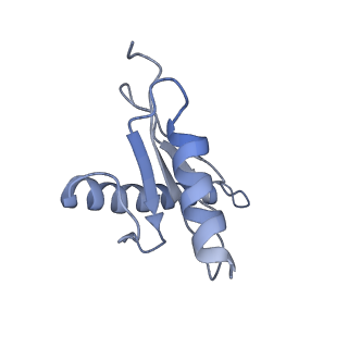 23083_7kzn_I_v1-2
Outer dynein arm core subcomplex from C. reinhardtii