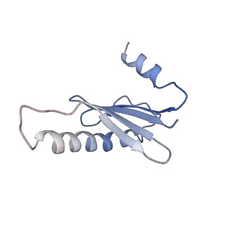 23083_7kzn_J_v1-2
Outer dynein arm core subcomplex from C. reinhardtii