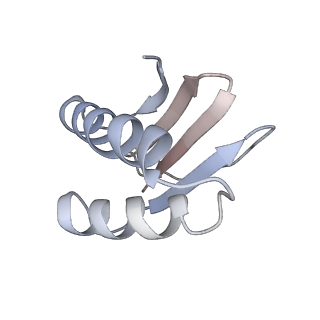 23083_7kzn_L_v1-2
Outer dynein arm core subcomplex from C. reinhardtii