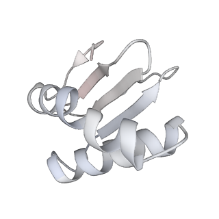 23083_7kzn_N_v1-2
Outer dynein arm core subcomplex from C. reinhardtii