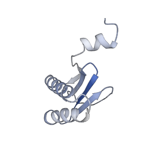 23083_7kzn_P_v1-2
Outer dynein arm core subcomplex from C. reinhardtii