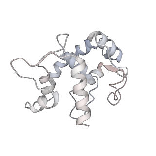 23083_7kzn_Z_v1-2
Outer dynein arm core subcomplex from C. reinhardtii