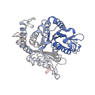 23084_7kzo_A3_v1-2
Outer dynein arm docking complex bound to doublet microtubules from C. reinhardtii