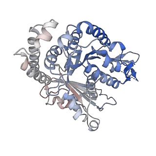 23084_7kzo_A4_v1-2
Outer dynein arm docking complex bound to doublet microtubules from C. reinhardtii